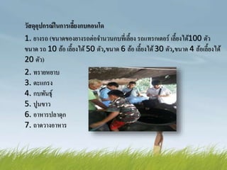 วัสดุอุปกรณ์ในการเลี้ยงกบคอนโด
1. ยางรถ (ขนาดของยางรถต่อจานวนกบที่เลี้ยง รถแทรกเตอร์ เลี้ยงได้100 ตัว
ขนาด รถ 10 ล้อ เลี้ยงได้50 ตัว,ขนาด 6 ล้อ เลี้ยงได้30 ตัว,ขนาด 4 ล้อเลี้ยงได้
20 ตัว)
2. ทรายหยาบ
3. ตะแกรง
4. กบพันธุ์
5. ปูนขาว
6. อาหารปลาดุก
7. ถาดวางอาหาร
 