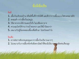 ข้อดีข้อเสีย
ข้อดี
1. เลี้ยงในบริเวณบ้าน หรือมีพื้นที่จากัดได้ดี และดีกว่าการเลี้ยงแบบใส่ขวดพลาสติก
2. ลงทุนต่า กว่าเลี้ยงในบ่อปูน
3. ให้อาหารกบได้ง่ายและทั่วถึง ไม่เปลืองอาหาร
4. ควบคุมโรคได้ง่าย ถ่ายน้าสะดวก และใช้น้าน้อยกว่า
5. เหมาะกับผู้เริ่มทดลองเลี้ยงเพื่อศึกษา ไม่หวังผลกาไร
ข้อเสีย
1. ยากต่อการสังเกตและดูแล หากเลี้ยงในปริมาณมากๆ
2. ไม่เหมาะกับการเลี้ยงจริงจังเชิงพาณิชย์ ที่ต้องมีปริมาณผลผลิตต่อเดือนสูง
 