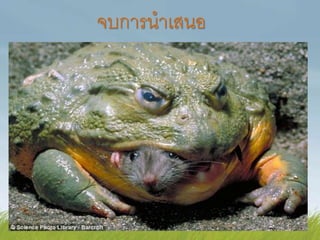 จบการนาเสนอ
 