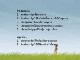 ด้านสิ่งแวดล้อม
1. สงเสริมการปลูกพืชผสมผสาน
2. ส่งเสริมการปลูกไม้ยืนต้น (จัดตั้งธนาคารต้นไม้ในชุมชน)
3. ปรับปรุงพัฒนาป่าสมุนไพรของชุมชน
4. ปรับปรุงภูมิทัศน์ข้างถนนสายพุพลับ-เหล่ามะละกอ
5. พัฒนาปรับปรุงศูนย์เรียนรู้ปราชญ์ชาวบ้านฯ
ปัญหาอื่น ๆ
1. ออกเอกสารสิทธิ์ที่ดินที่ถูกต้องตามกฎหมาย
2. ส่งเสริมการปลูกไม้ไว้ใช้สอยในครัวเรือน
 