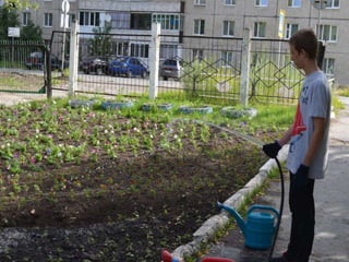 будни трудового отряда
