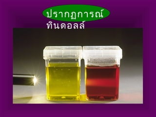 ปรากฏการณ์
ทินดอลล์
 