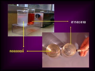 คอลลอยด์
สารละลาย
 