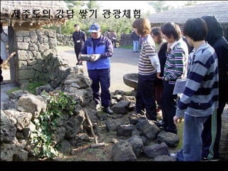 제주도의 강담 쌓기 괶광체
 