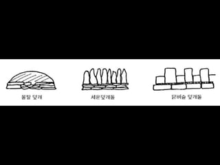 전통 돌담쌓기와 유럽의 마른돌담쌓기 방법을 총정리한 강의자료 