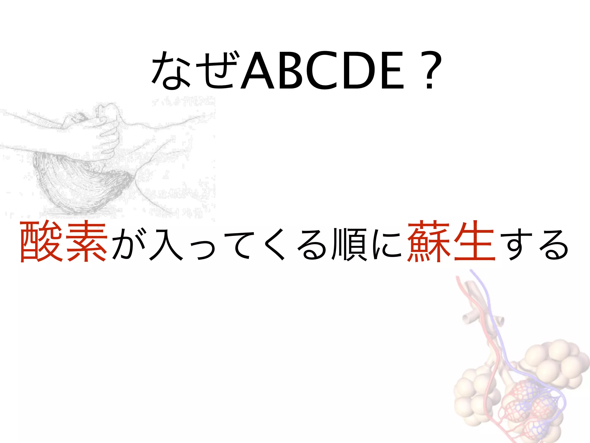 なぜABCDE ?
酸素が入ってくる順に蘇生する
 