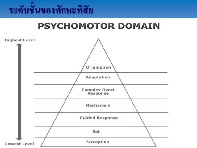 ผลการค้นหารูปภาพสำหรับ รูปแบบทักษะพิสัย