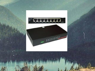 เครือข่ายคอมพิวเตอร์