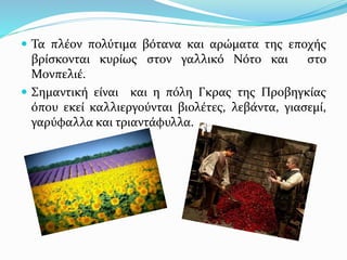  Τα πλέον πολύτιμα βότανα και αρώματα της εποχής
βρίσκονται κυρίως στον γαλλικό Νότο και στο
Μονπελιέ.
 Σημαντική είναι και η πόλη Γκρας της Προβηγκίας
όπου εκεί καλλιεργούνται βιολέτες, λεβάντα, γιασεμί,
γαρύφαλλα και τριαντάφυλλα.
 