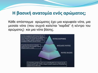 Η βασική ανατομία ενός αρώματος;
Κάθε απόσταγμα αρώματος έχει μια κορυφαία νότα, μια
μεσαία νότα (που συχνά καλείται “καρδιά” ή κέντρο του
αρώματος) και μια νότα βάσης.
 