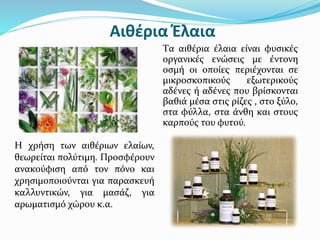 Αιθέρια Έλαια
Tα αιθέρια έλαια είναι φυσικές
οργανικές ενώσεις με έντονη
οσμή οι οποίες περιέχονται σε
μικροσκοπικούς εξωτερικούς
αδένες ή αδένες που βρίσκονται
βαθιά μέσα στις ρίζες , στο ξύλο,
στα φύλλα, στα άνθη και στους
καρπούς του φυτού.
Η χρήση των αιθέριων ελαίων,
θεωρείται πολύτιμη. Προσφέρουν
ανακούφιση από τον πόνο και
χρησιμοποιούνται για παρασκευή
καλλυντικών, για μασάζ, για
αρωματισμό χώρου κ.α.
 