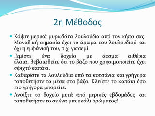 2η Μέθοδος
 Κόψτε μερικά μυρωδάτα λουλούδια από τον κήπο σας.
Μοναδική σημασία έχει το άρωμα του λουλουδιού και
όχι η εμφάνισή του, π.χ. γιασεμί.
 Γεμίστε ένα δοχείο με άοσμα αιθέρια
έλαια. Βεβαιωθείτε ότι το βάζο που χρησιμοποιείτε έχει
σφιχτό καπάκι.
 Καθαρίστε τα λουλούδια από τα κοτσάνια και γρήγορα
τοποθετήστε τα μέσα στο βάζο. Κλείστε το καπάκι όσο
πιο γρήγορα μπορείτε.
 Ανοίξτε το δοχείο μετά από μερικές εβδομάδες και
τοποθετήστε το σε ένα μπουκάλι αρώματος!
 