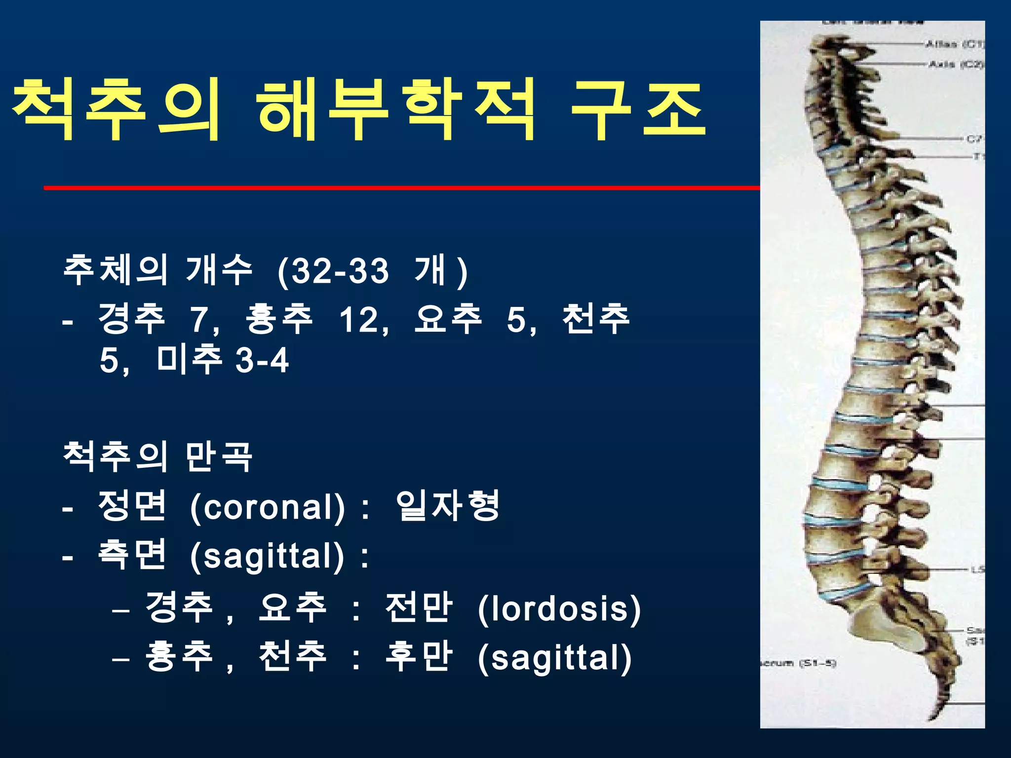 척추질환교육 | PPT