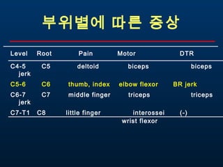 척추질환교육 | PPT