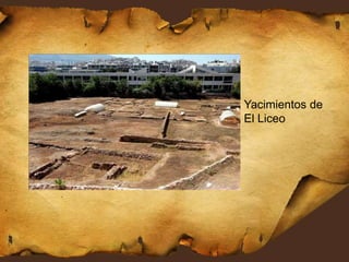 Yacimientos de
El Liceo
 