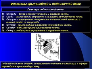 Флегмоны крылонебной и подвисочной ямокФлегмоны крылонебной и подвисочной ямок
Границы подвисочной ямки
1) Спереди – бугор верхней челюсти и скуловая кость.
2) Сзади – шиловидный отросток с мышцами риолланового пучка.
3) Снаружи – внутренняя поверхность ветви нижней челюсти и
нижний отдел m. temporalis.
4) Снутри – крыловидный отросток клиновидной кости.
5) Сверху – большое крыло клиновидной кости.
6) Снизу – сходящиеся внутренняя и наружная стенки.
Подвисочная ямка спереди сообщается с полостью глазницы, а кнутри
переходит в крылонебную ямку.
 