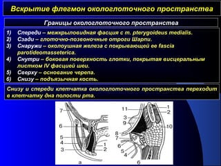 Вскрытие флегмон окологлоточного пространстваВскрытие флегмон окологлоточного пространства
Границы окологлоточного пространства
1) Спереди – межкрыловидная фасция с m. pterygoideus medialis.
2) Сзади – глоточно-позвоночные отроги Шарпи.
3) Снаружи – околоушная железа с покрывающей ее fascia
parotideomasseterica.
4) Снутри – боковая поверхность глотки, покрытая висцеральным
листком IV фасцией шеи.
5) Сверху – основание черепа.
6) Снизу – подъязычная кость.
Снизу и спереди клетчатка окологлоточного пространства переходит
в клетчатку дна полости рта.
 