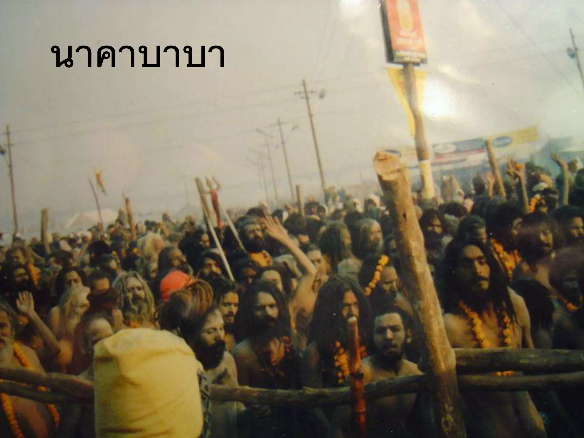 นาคาบาบา
 