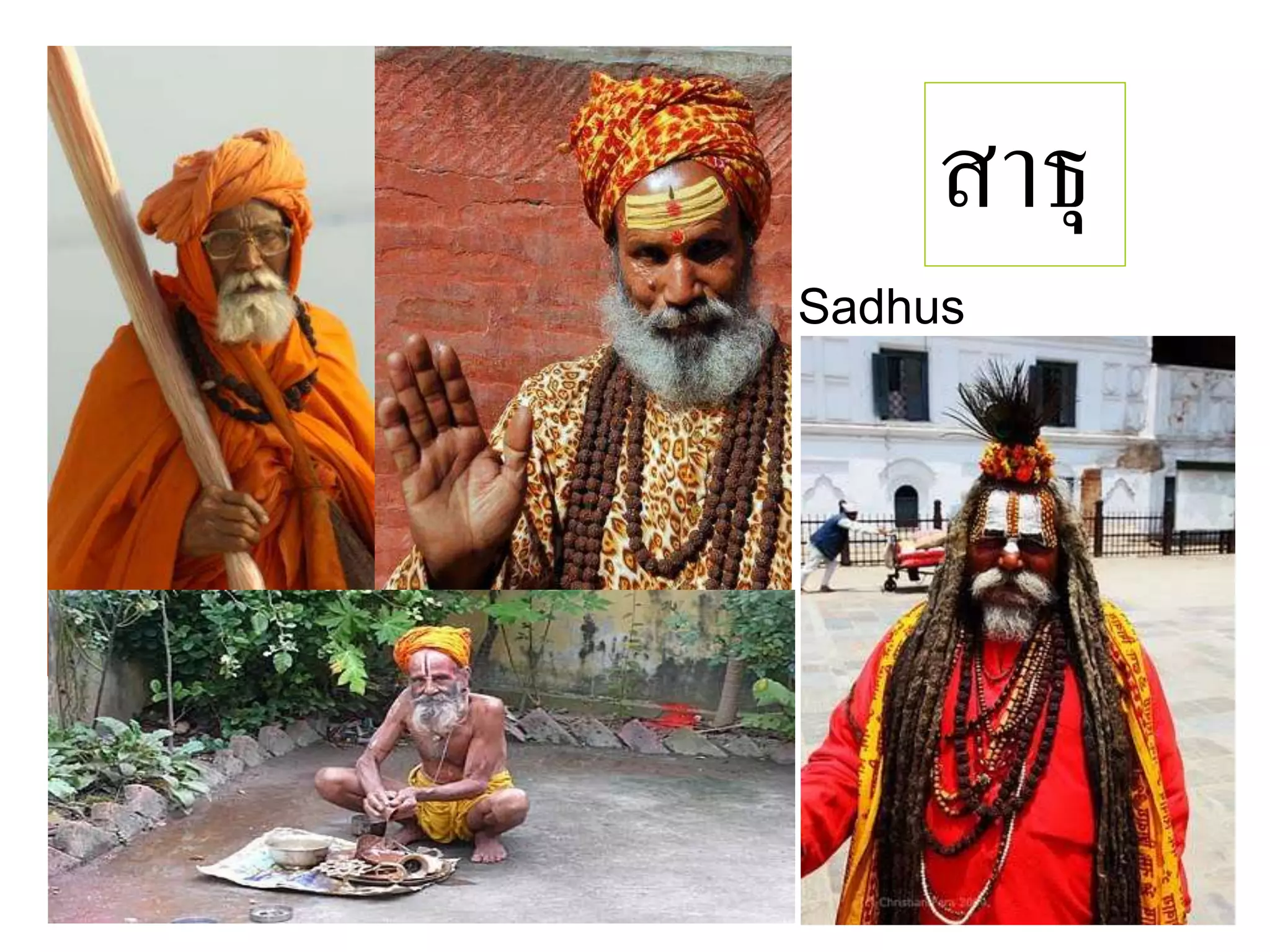 สาธุ
Sadhus
 