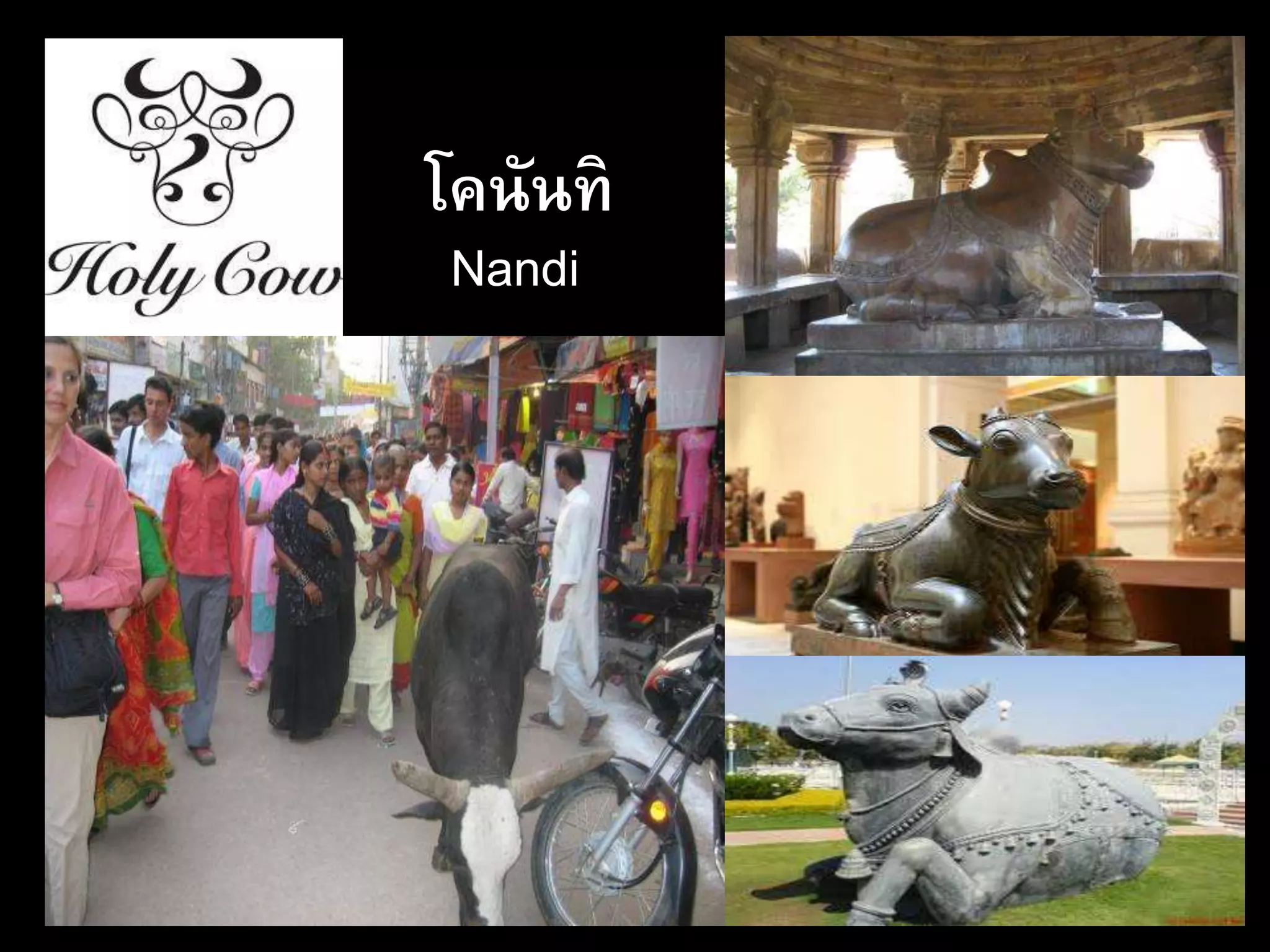 โคนันทิ
Nandi
 