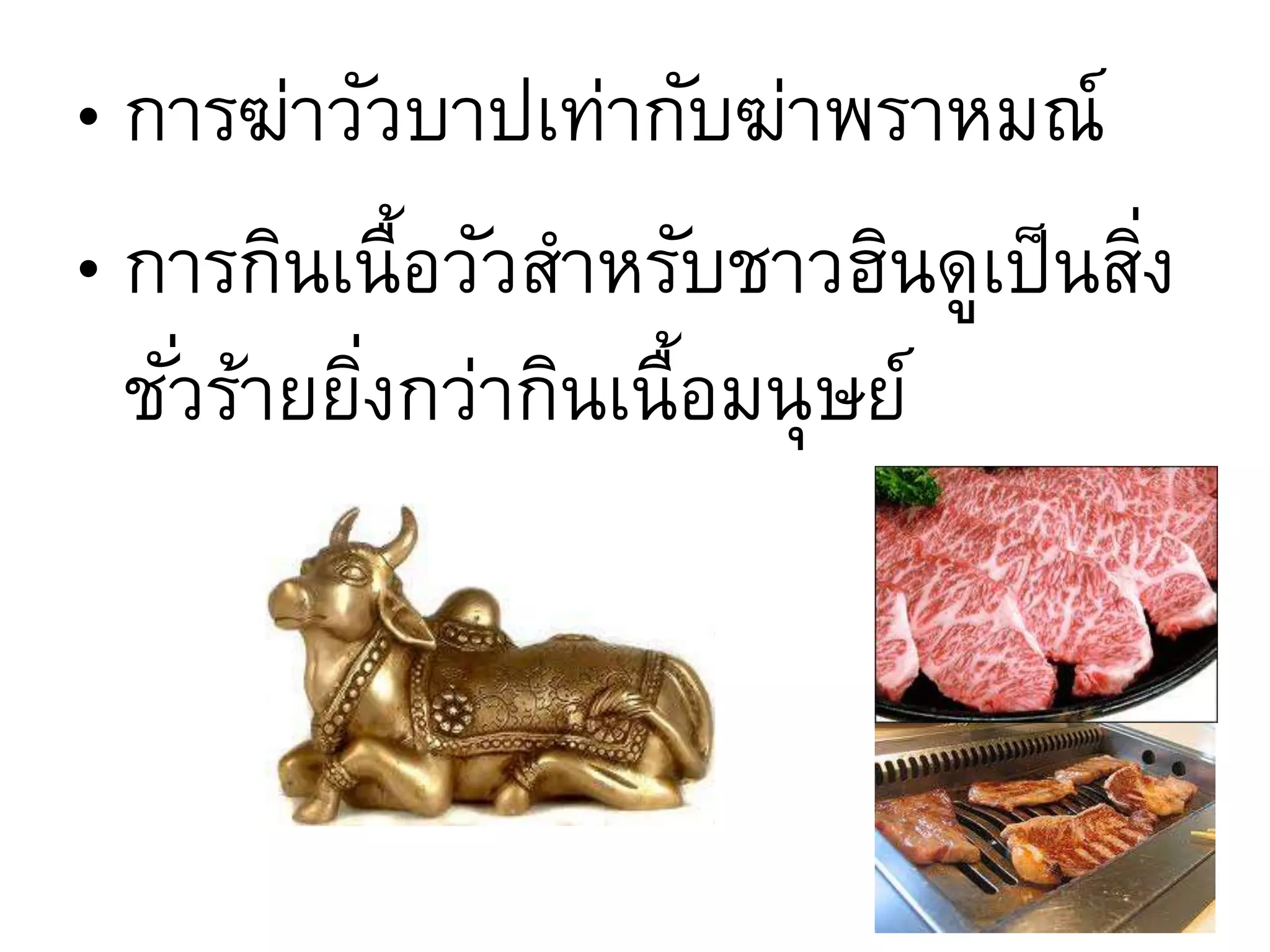 • การฆ่าวัวบาปเท่ากับฆ่าพราหมณ์
• การกินเนื้อวัวสาหรับชาวฮินดูเป็นสิ่ง
ชั่วร้ายยิ่งกว่ากินเนื้อมนุษย์
 