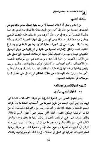 الذكاءات المتعددة | برنامج تطبيقي