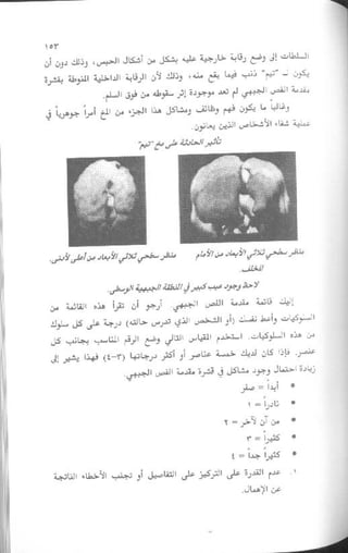 غير من عقلك تتغير حياتك | دانيال جي آمين