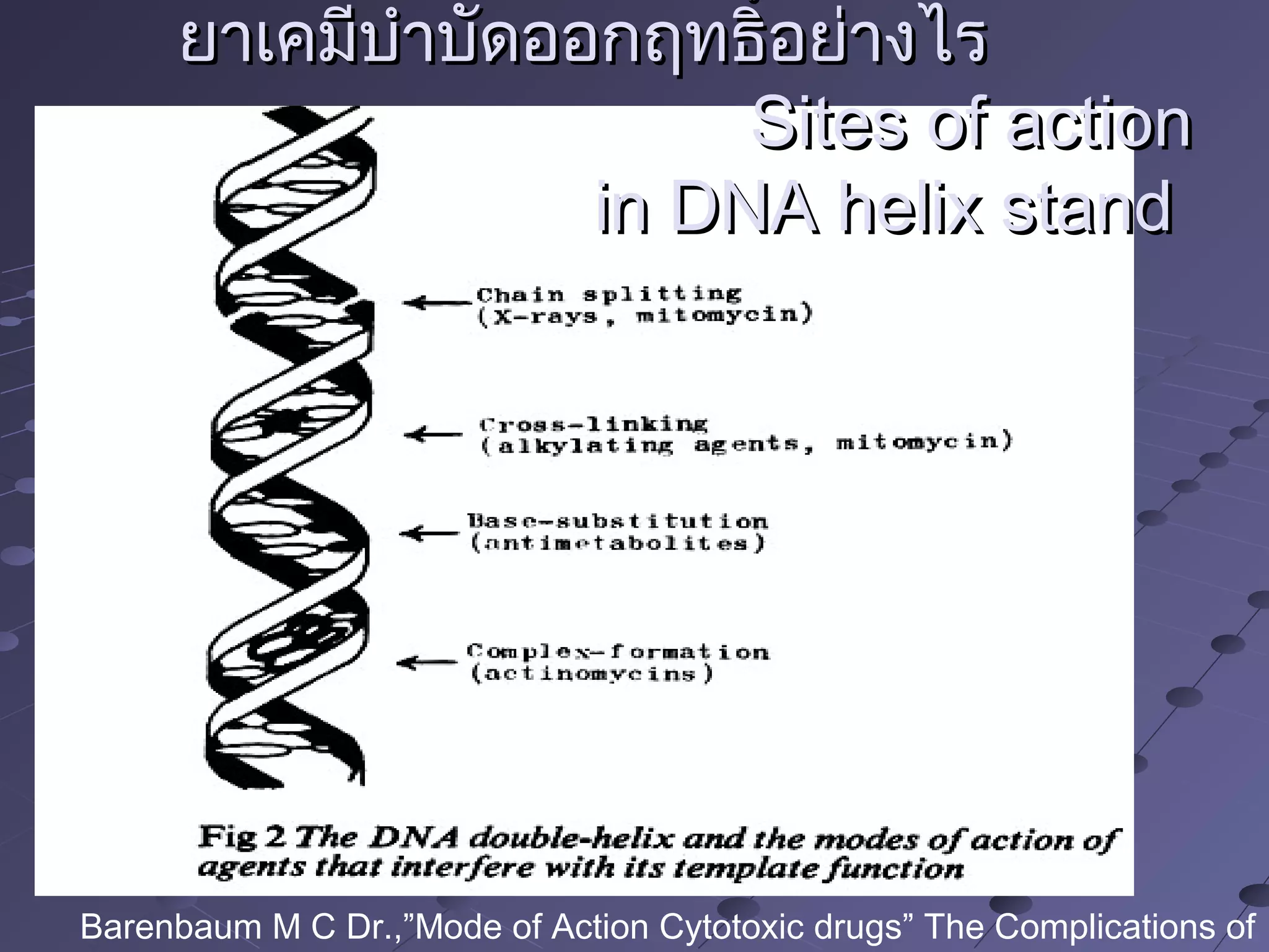 ยาเคมีบำาบัดออกฤทธิ์อย่างไรยาเคมีบำาบัดออกฤทธิ์อย่างไร
Sites of actionSites of action
in DNA helix standin DNA helix stand
Barenbaum M C Dr.,”Mode of Action Cytotoxic drugs” The Complications of
 