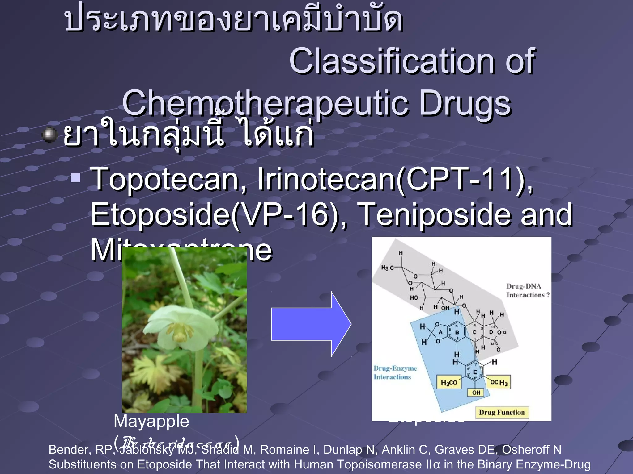 ยาในกลุ่มนี้ ได้แก่ยาในกลุ่มนี้ ได้แก่

Topotecan, Irinotecan(CPT-11),Topotecan, Irinotecan(CPT-11),
Etoposide(VP-16), Teniposide andEtoposide(VP-16), Teniposide and
MitoxantroneMitoxantrone
ประเภทของยาเคมีบำาบัดประเภทของยาเคมีบำาบัด
Classification ofClassification of
Chemotherapeutic DrugsChemotherapeutic Drugs
Bender, RP, Jablonsky MJ, Shadid M, Romaine I, Dunlap N, Anklin C, Graves DE, Osheroff N
Substituents on Etoposide That Interact with Human Topoisomerase IIα in the Binary Enzyme-Drug
EtoposideMayapple
(Be rbe ridace ae )
 