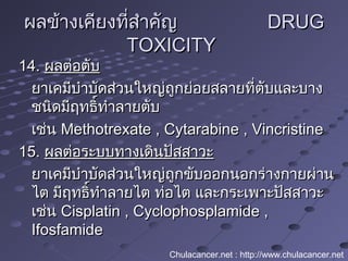 ผลข้างเคียงที่สำาคัญผลข้างเคียงที่สำาคัญ DRUGDRUG
TOXICITYTOXICITY
14.14. ผลต่อตับผลต่อตับ
ยาเคมีบำาบัดส่วนใหญ่ถูกย่อยสลายที่ตับและบางยาเคมีบำาบัดส่วนใหญ่ถูกย่อยสลายที่ตับและบาง
ชนิดมีฤทธิ์ทำาลายตับชนิดมีฤทธิ์ทำาลายตับ
เช่นเช่น Methotrexate , Cytarabine , VincristineMethotrexate , Cytarabine , Vincristine
15.15. ผลต่อระบบทางเดินปัสสาวะผลต่อระบบทางเดินปัสสาวะ
ยาเคมีบำาบัดส่วนใหญ่ถูกขับออกนอกร่างกายผ่านยาเคมีบำาบัดส่วนใหญ่ถูกขับออกนอกร่างกายผ่าน
ไต มีฤทธิ์ทำาลายไต ท่อไต และกระเพาะปัสสาวะไต มีฤทธิ์ทำาลายไต ท่อไต และกระเพาะปัสสาวะ
เช่นเช่น Cisplatin , Cyclophosplamide ,Cisplatin , Cyclophosplamide ,
IfosfamideIfosfamide
Chulacancer.net : http://www.chulacancer.net
 