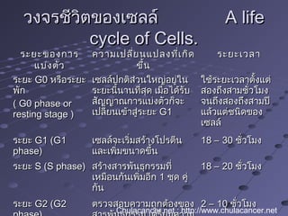 วงจรชีวิตของเซลล์วงจรชีวิตของเซลล์ A lifeA life
cycle of Cells.cycle of Cells.
ระยะของการระยะของการ
แบ่งตัวแบ่งตัว
ความเปลี่ยนแปลงที่เกิดความเปลี่ยนแปลงที่เกิด
ขึ้นขึ้น
ระยะเวลาระยะเวลา
ระยะระยะ G0G0 หรือระยะหรือระยะ
พักพัก
( G0 phase or( G0 phase or
resting stage )resting stage )
เซลล์ปกติส่วนใหญ่อยู่ในเซลล์ปกติส่วนใหญ่อยู่ใน
ระยะนี้นานที่สุด เมื่อได้รับระยะนี้นานที่สุด เมื่อได้รับ
สัญญาณการแบ่งตัวก็จะสัญญาณการแบ่งตัวก็จะ
เปลี่ยนเข้าสู่ระยะเปลี่ยนเข้าสู่ระยะ G1G1
ใช้ระยะเวลาตั้งแต่ใช้ระยะเวลาตั้งแต่
สองถึงสามชั่วโมงสองถึงสามชั่วโมง
จนถึงสองถึงสามปีจนถึงสองถึงสามปี
แล้วแต่ชนิดของแล้วแต่ชนิดของ
เซลล์เซลล์
ระยะระยะ G1 (G1G1 (G1
phase)phase)
เซลล์จะเริ่มสร้างโปรตีนเซลล์จะเริ่มสร้างโปรตีน
และเพิ่มขนาดขึ้นและเพิ่มขนาดขึ้น
18 – 3018 – 30 ชั่วโมงชั่วโมง
ระยะระยะ S (S phase)S (S phase) สร้างสารพันธุกรรมที่สร้างสารพันธุกรรมที่
เหมือนกันเพิ่มอีกเหมือนกันเพิ่มอีก 11 ชุด คู่ชุด คู่
กันกัน
18 – 2018 – 20 ชั่วโมงชั่วโมง
ระยะระยะ G2 (G2G2 (G2 ตรวจสอบความถูกต้องของตรวจสอบความถูกต้องของ 2 – 102 – 10 ชั่วโมงชั่วโมง
Chulacancer.net : http://www.chulacancer.net
 