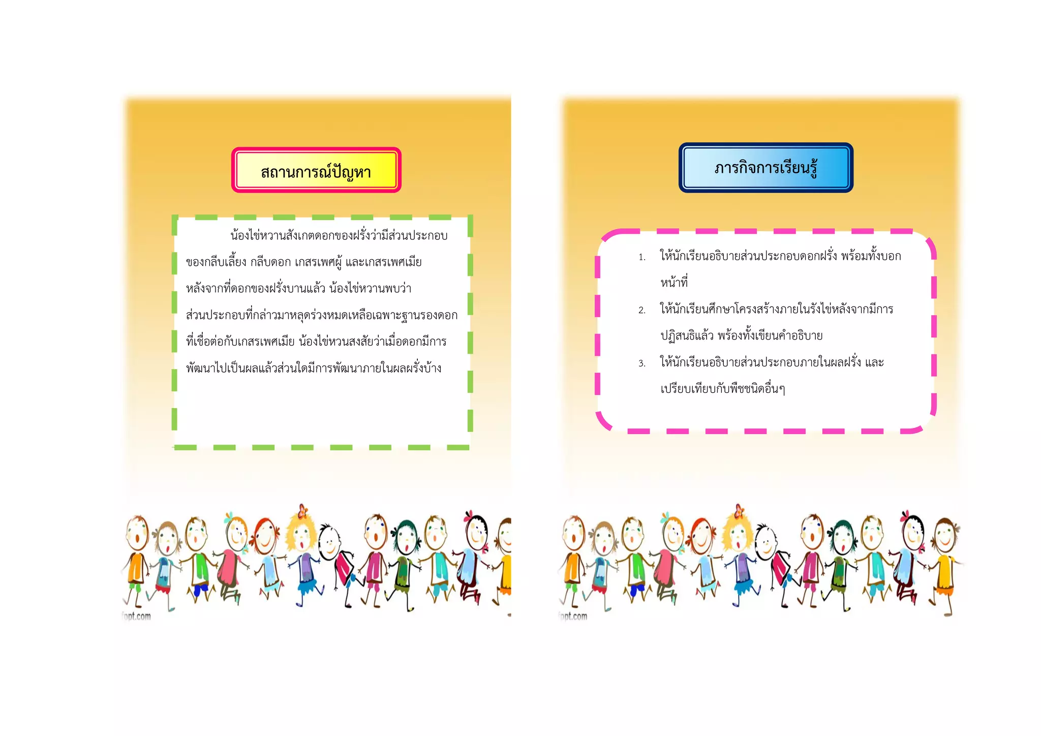 สถำนกำรณ์ปัญหำ ภำรกิจกำรเรียนรู้
น้องไข่หวานสังเกตดอกของฝรั่งว่ามีส่วนประกอบ
ของกลีบเลี้ยง กลีบดอก เกสรเพศผู้ และเกสรเพศเมีย
หลังจากที่ดอกของฝรั่งบานแล้ว น้องไข่หวานพบว่า
ส่วนประกอบที่กล่าวมาหลุดร่วงหมดเหลือเฉพาะฐานรองดอก
ที่เชื่อต่อกับเกสรเพศเมีย น้องไข่หวนสงสัยว่าเมื่อดอกมีการ
พัฒนาไปเป็นผลแล้วส่วนใดมีการพัฒนาภายในผลผรั่งบ้าง
1. ให้นักเรียนอธิบายส่วนประกอบดอกฝรั่ง พร้อมทั้งบอก
หน้าที่
2. ให้นักเรียนศึกษาโครงสร้างภายในรังไข่หลังจากมีการ
ปฏิสนธิแล้ว พร้องทั้งเขียนคาอธิบาย
3. ให้นักเรียนอธิบายส่วนประกอบภายในผลฝรั่ง และ
เปรียบเทียบกับพืชชนิดอื่นๆ
 
