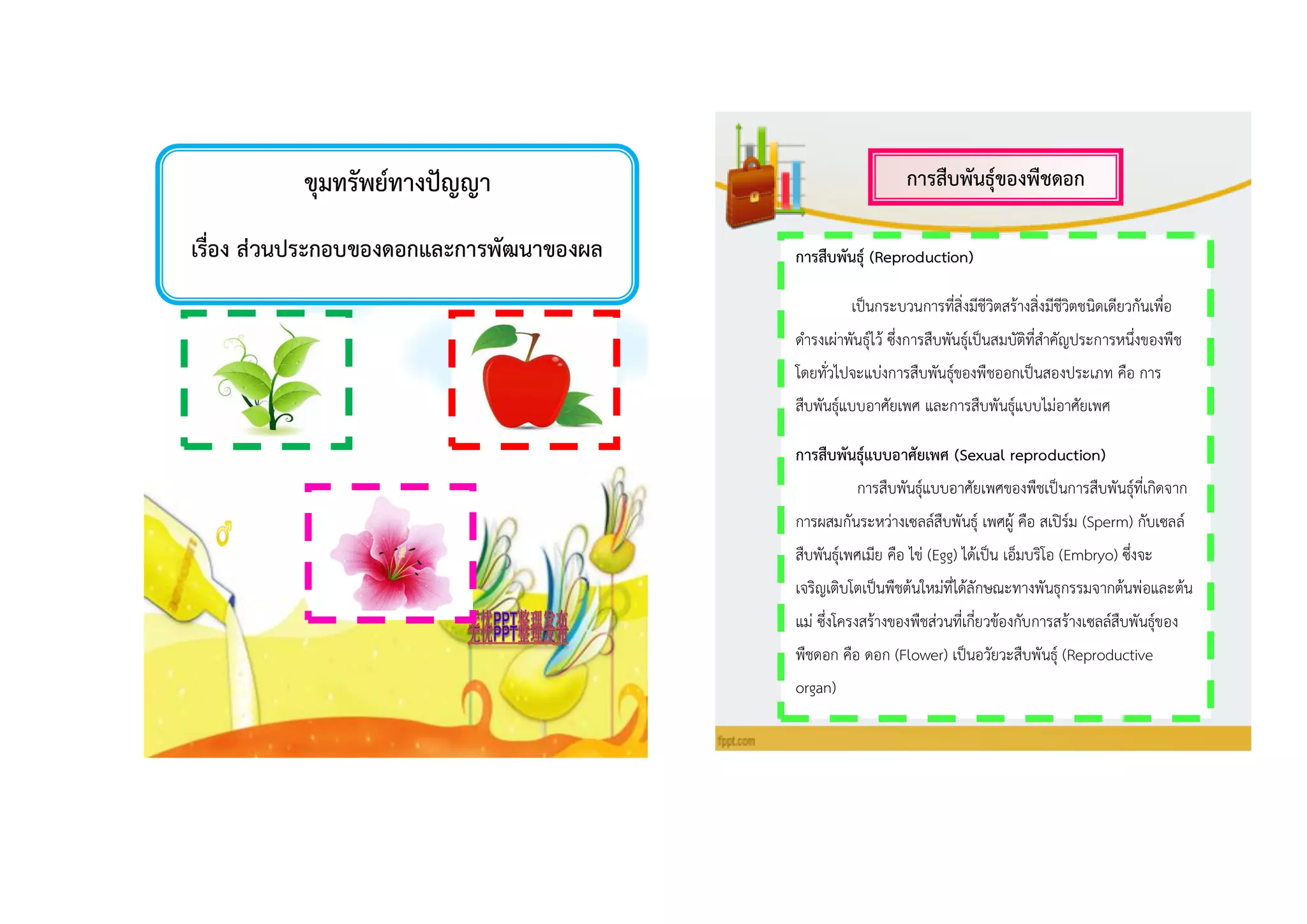 กำรสืบพันธุ์ของพืชดอก
กำรสืบพันธุ์ (Reproduction)
เป็นกระบวนการที่สิ่งมีชีวิตสร้างสิ่งมีชีวิตชนิดเดียวกันเพื่อ
ดารงเผ่าพันธุ์ไว้ ซึ่งการสืบพันธุ์เป็นสมบัติที่สาคัญประการหนึ่งของพืช
โดยทั่วไปจะแบ่งการสืบพันธุ์ของพืชออกเป็นสองประเภท คือ การ
สืบพันธุ์แบบอาศัยเพศ และการสืบพันธุ์แบบไม่อาศัยเพศ
กำรสืบพันธุ์แบบอำศัยเพศ (Sexual reproduction)
การสืบพันธุ์แบบอาศัยเพศของพืชเป็นการสืบพันธุ์ที่เกิดจาก
การผสมกันระหว่างเซลล์สืบพันธุ์ เพศผู้ คือ สเปิร์ม (Sperm) กับเซลล์
สืบพันธุ์เพศเมีย คือ ไข่ (Egg) ได้เป็น เอ็มบริโอ (Embryo) ซึ่งจะ
เจริญเติบโตเป็นพืชต้นใหม่ที่ได้ลักษณะทางพันธุกรรมจากต้นพ่อและต้น
แม่ ซึ่งโครงสร้างของพืชส่วนที่เกี่ยวข้องกับการสร้างเซลล์สืบพันธุ์ของ
พืชดอก คือ ดอก (Flower) เป็นอวัยวะสืบพันธุ์ (Reproductive
organ)
ขุมทรัพย์ทำงปัญญำ
เรื่อง ส่วนประกอบของดอกและกำรพัฒนำของผล
 