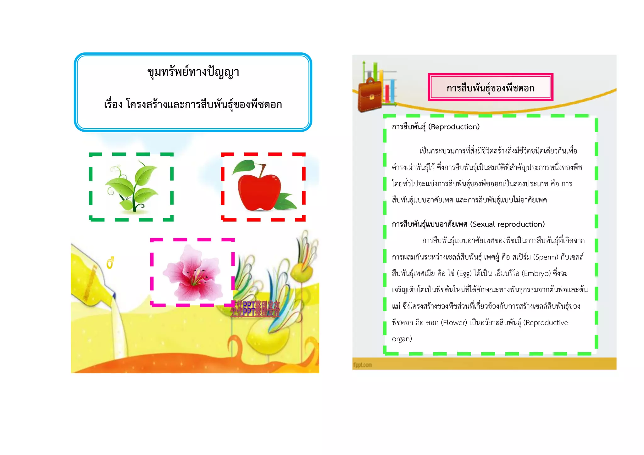 ขุมทรัพย์ทำงปัญญำ
เรื่อง โครงสร้ำงและกำรสืบพันธุ์ของพืชดอก
กำรสืบพันธุ์ของพืชดอก
กำรสืบพันธุ์ (Reproduction)
เป็นกระบวนการที่สิ่งมีชีวิตสร้างสิ่งมีชีวิตชนิดเดียวกันเพื่อ
ดารงเผ่าพันธุ์ไว้ ซึ่งการสืบพันธุ์เป็นสมบัติที่สาคัญประการหนึ่งของพืช
โดยทั่วไปจะแบ่งการสืบพันธุ์ของพืชออกเป็นสองประเภท คือ การ
สืบพันธุ์แบบอาศัยเพศ และการสืบพันธุ์แบบไม่อาศัยเพศ
กำรสืบพันธุ์แบบอำศัยเพศ (Sexual reproduction)
การสืบพันธุ์แบบอาศัยเพศของพืชเป็นการสืบพันธุ์ที่เกิดจาก
การผสมกันระหว่างเซลล์สืบพันธุ์ เพศผู้ คือ สเปิร์ม (Sperm) กับเซลล์
สืบพันธุ์เพศเมีย คือ ไข่ (Egg) ได้เป็น เอ็มบริโอ (Embryo) ซึ่งจะ
เจริญเติบโตเป็นพืชต้นใหม่ที่ได้ลักษณะทางพันธุกรรมจากต้นพ่อและต้น
แม่ ซึ่งโครงสร้างของพืชส่วนที่เกี่ยวข้องกับการสร้างเซลล์สืบพันธุ์ของ
พืชดอก คือ ดอก (Flower) เป็นอวัยวะสืบพันธุ์ (Reproductive
organ)
 