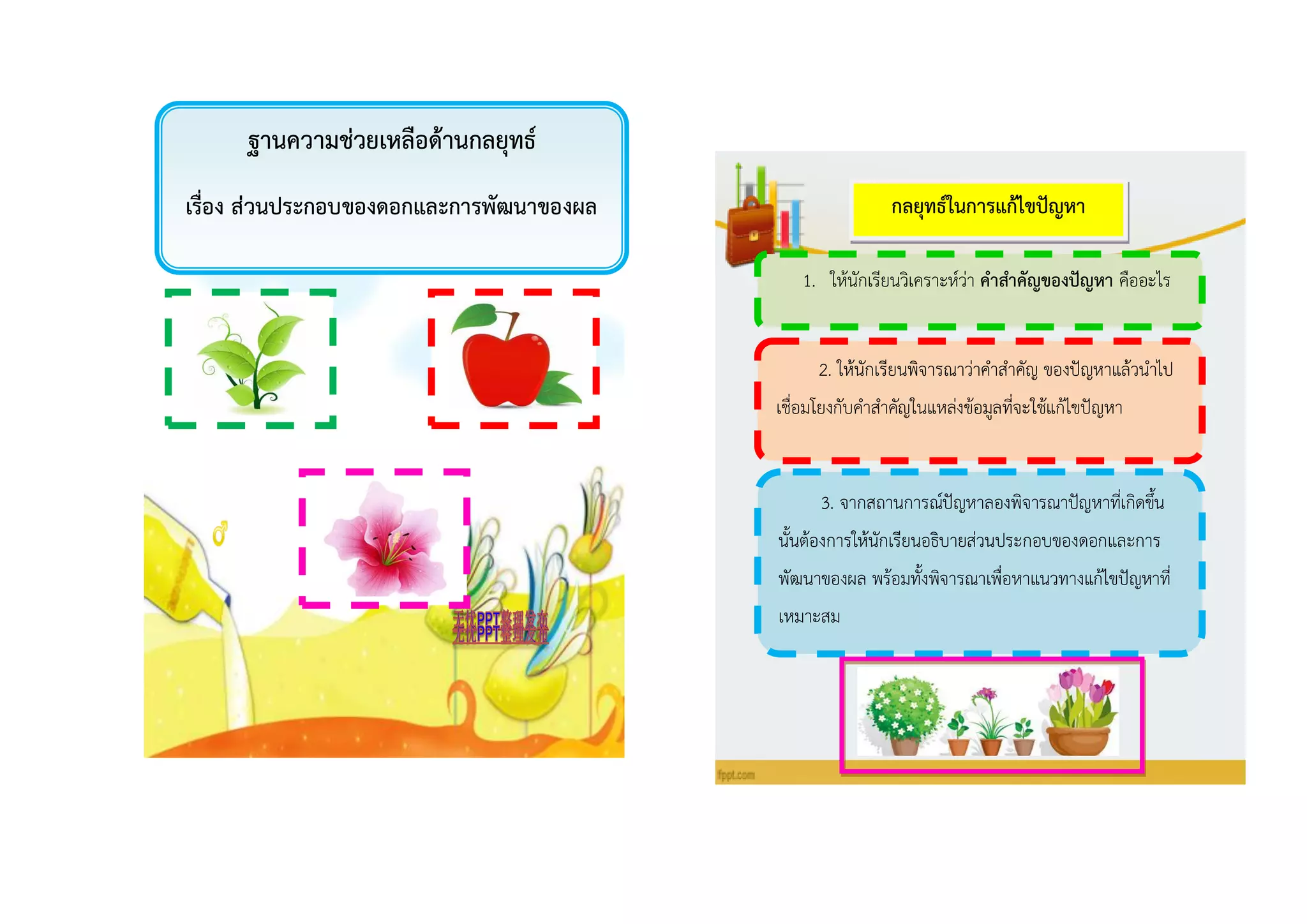 ฐำนควำมช่วยเหลือด้ำนกลยุทธ์
เรื่อง ส่วนประกอบของดอกและกำรพัฒนำของผล
1. ให้นักเรียนวิเคราะห์ว่า คำสำคัญของปัญหำ คืออะไร
กลยุทธ์ในกำรแก้ไขปัญหำ
2. ให้นักเรียนพิจารณาว่าคาสาคัญ ของปัญหาแล้วนาไป
เชื่อมโยงกับคาสาคัญในแหล่งข้อมูลที่จะใช้แก้ไขปัญหา
3. จากสถานการณ์ปัญหาลองพิจารณาปัญหาที่เกิดขึ้น
นั้นต้องการให้นักเรียนอธิบายส่วนประกอบของดอกและการ
พัฒนาของผล พร้อมทั้งพิจารณาเพื่อหาแนวทางแก้ไขปัญหาที่
เหมาะสม
 