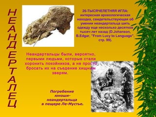 26-ТЫСЯЧЕЛЕТНЯЯ ИГЛА:
интересная археологическая
находка, свидетельствующая об
умении неандертальца шить
одежду еще несколько десятков
тысяч лет назад (D.Johanson,
B.Edgar, "From Lucy to Language",
стр. 99).
Погребение
юноши-
неандертальца
в пещере Ле-Мустье.
Неандертальцы были, вероятно,
первыми людьми, которые стали
хоронить покойников, а не просто
бросать их на съедение хищным
зверям.
 
