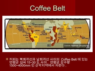 Coffee BeltCoffee Belt
 커피는 북회귀선과 남회귀선 사이의 Coffee Belt 에 있는
연평균 섭씨 15~30 도 사이 , 연평균 강수량
1500~4000mm 인 산악지역에서 자란다 .
 