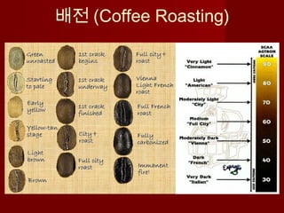 배전 (Coffee Roasting)
 