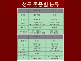 생두 품종별 분류
 