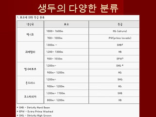 생두의 다양한 분류
 