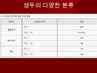 생두의 다양한 분류
 