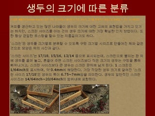 생두의 크기에 따른 분류
 