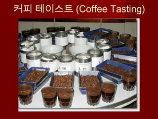 커피 테이스트 (Coffee Tasting)
 