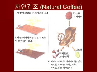 자연건조 (Natural Coffee)
 