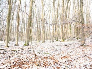 презентация к нод в гостях у осени