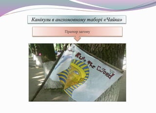 Прапор загону
 