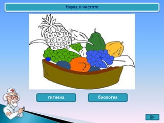 Наука о чистоте
гигиена биология
 