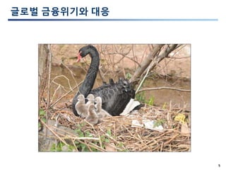 5
글로벌 금융위기와 대응
 