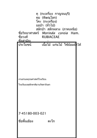 คุ (กะเหรี่ยง กาญจนบุรี)
คุย (พิษณุโลก)
โคะ (กะเหรี่ยง)
ยอป่า (ทั่วไป)
สลักป่า สลักหลวง (ภาคเหนือ)
ชื่อวิทยาศาสตร์ Morinda coreia Ham.
ชื่อวงศ์ RUBIACEAE
ชื่อสามัญ -
ประโยชน์ เนื้อไม้ แก่นไม้ ใช้ย้อมผ้าได้
งานสวนพฤกษศาสตร์โรงเรียน
โรงเรียนจตุพักตรพิมานรัชดาภิเษก
7-45180-003-021
ชื่อพื้นเมือง ตะโก
 