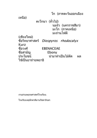 โก (ภาคตะวันออกเฉียง
เหนือ)
ตะโกนา (ทั่วไป)
นมงัว (นครราชสีมา)
มะโก (ภาคเหนือ)
มะถ่านไฟผี
(เชียงใหม่)
ชื่อวิทยาศาสตร์ Diospyros rhodocalyx
Kurz
ชื่อวงศ์ EBENACEAE
ชื่อสามัญ Ebony
ประโยชน์ นำามาทำาเป็นไม้ดัด ผล
ใช้เป็นยาถ่ายพยาธิ
งานสวนพฤกษศาสตร์โรงเรียน
โรงเรียนจตุพักตรพิมานรัชดาภิเษก
 
